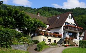 Landgasthof Gruener Baum
