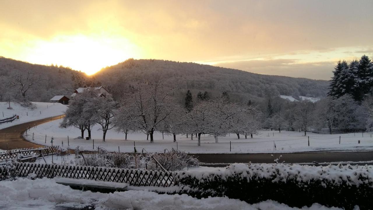 Landgasthof Gruener Baum Badenweiler Extérieur photo